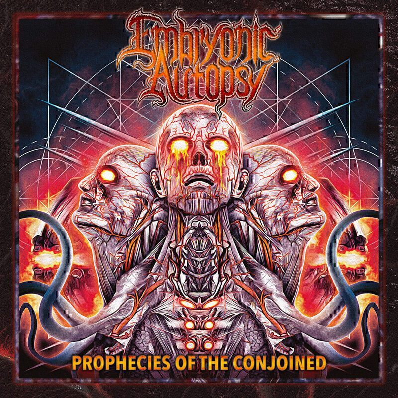 Embryonic Autopsy