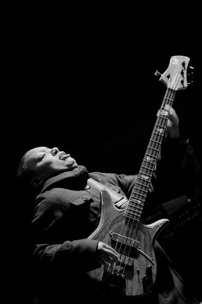 Meshell Ndegeocello prezentuje Synonym z gościnkami