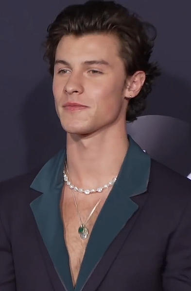 Shawn Mendes odświeża Illuminate na winylu i streamingu